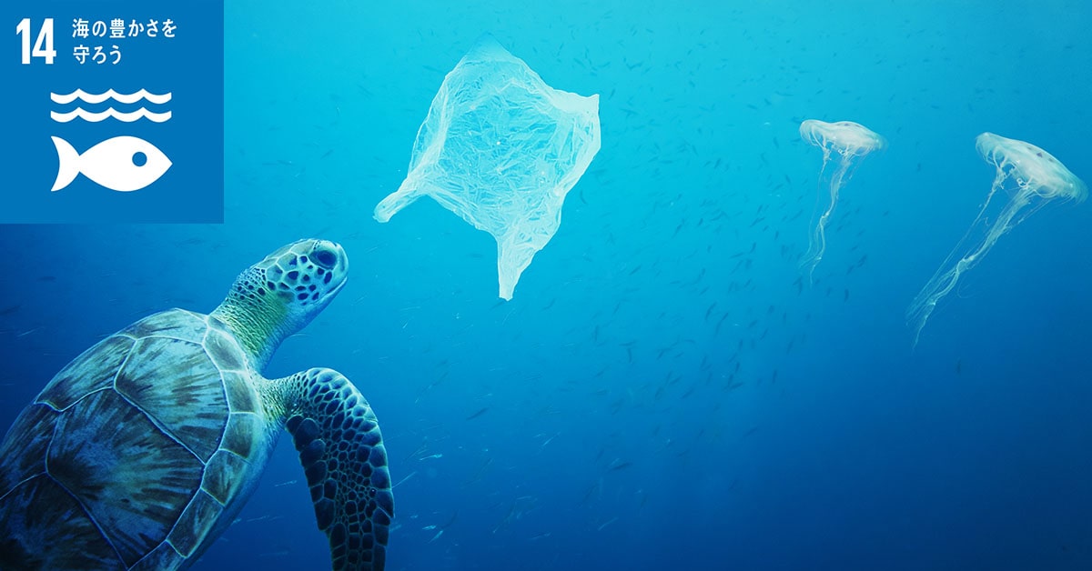 海洋プラスチックごみの流出量が多い国とその原因は？