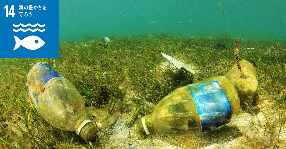 海洋プラスチックごみの問題への世界の対策や取り組みについて解説