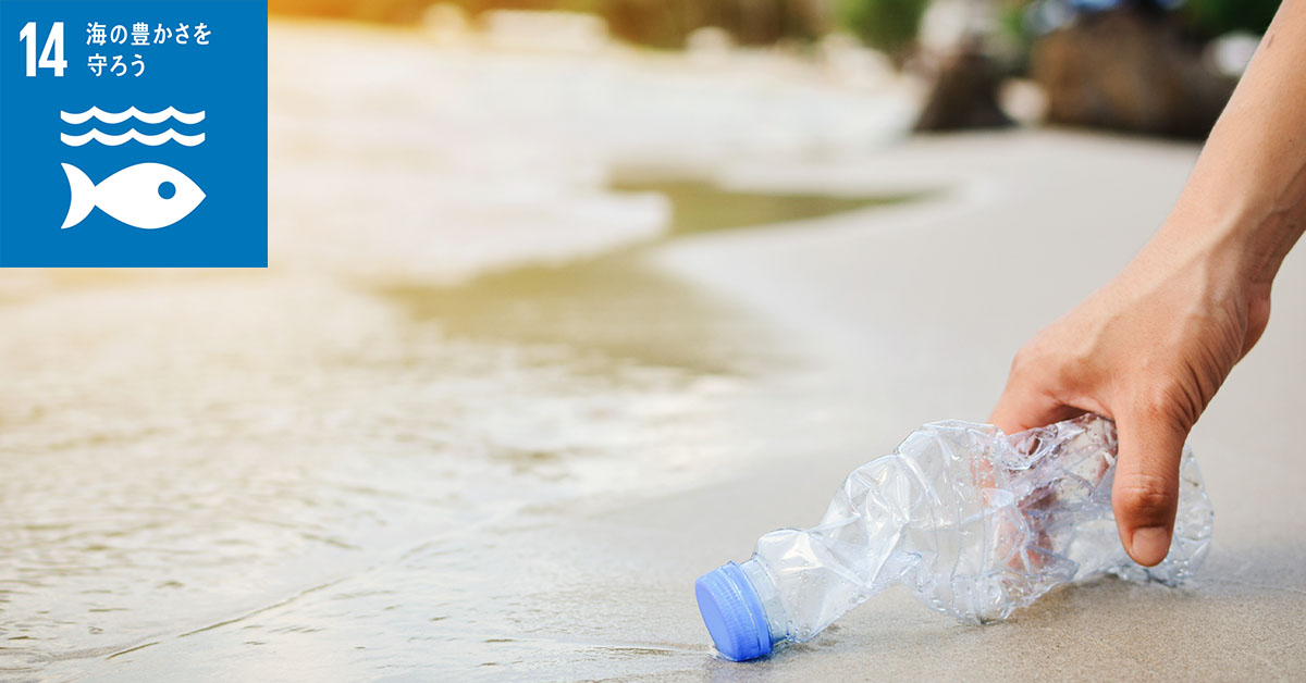 海洋プラスチックごみの問題がもたらす自然への影響や行われている取り組み