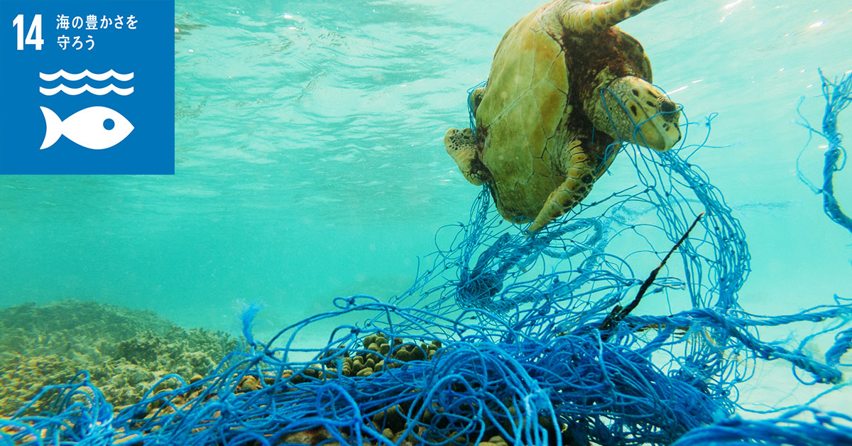 問題 海洋 プラスチック