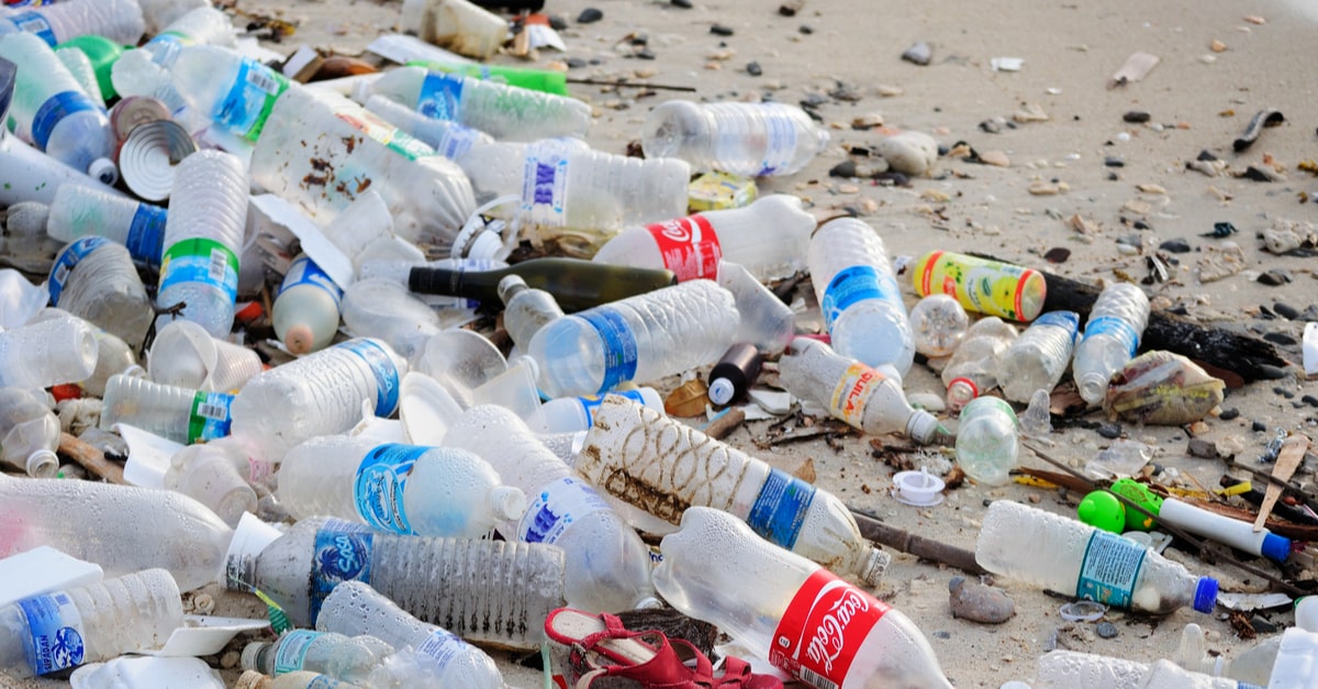 海洋プラスチックごみの問題への世界の対策や取り組みについて解説
