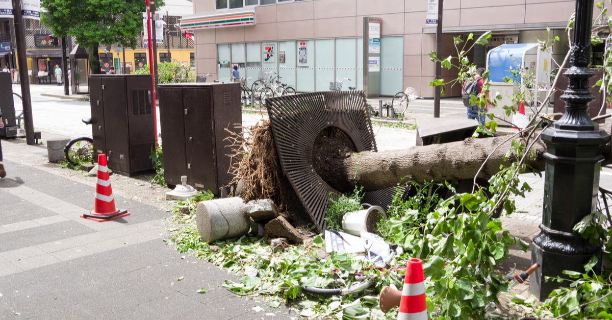 関東地方で過去にあった台風 大雨による過去の災害は