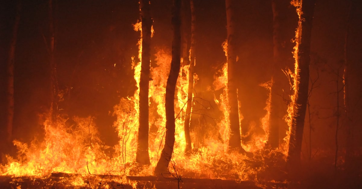森林火災とは 地球温暖化との関係や発生の原因について解説