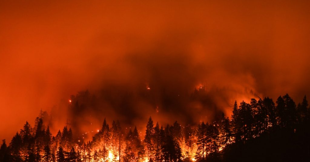 自然発火する森林火災への対策は可能