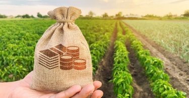 環境保全型農業直接支払交付金とは？対象となる取り組みや支援内容は？