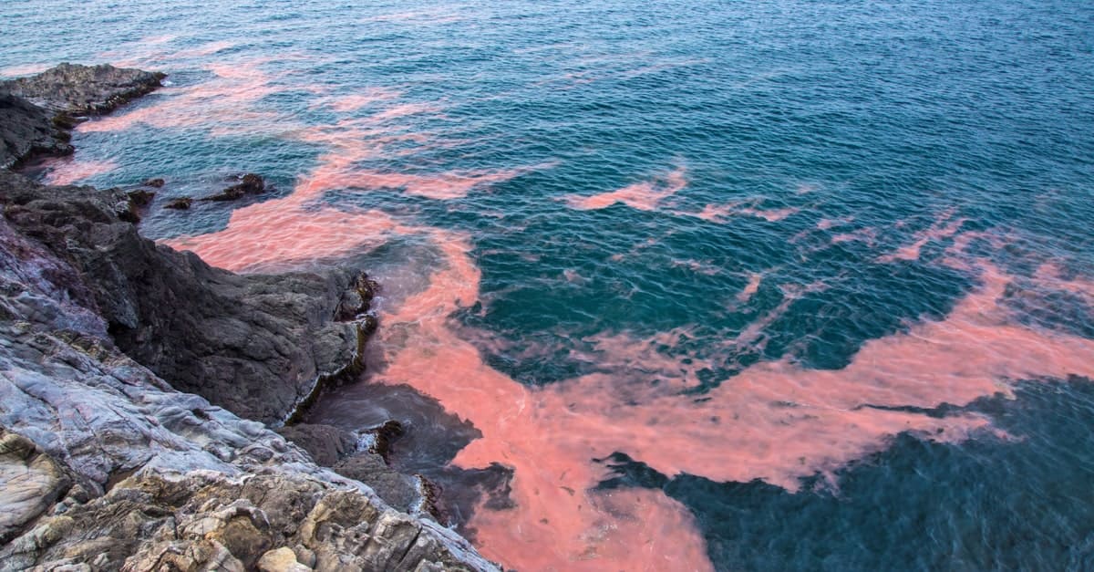 SDGsの目標14「海の豊かさを守ろう」で問題とされる「富栄養化」とは