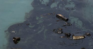 油による海洋汚染とは？原因や生態系への影響に迫る！