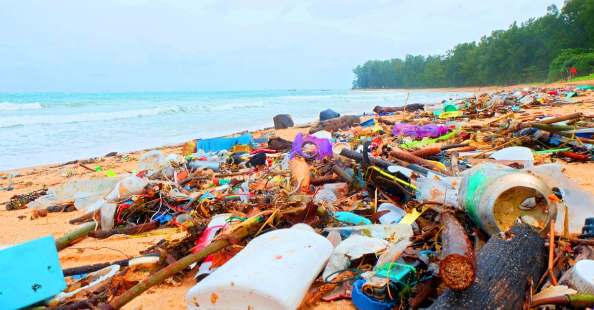 プラスチックごみによる海洋汚染に迫る