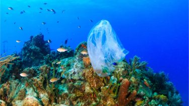 レジ袋などのプラスチックごみが原因で起こる海洋汚染について知ろう