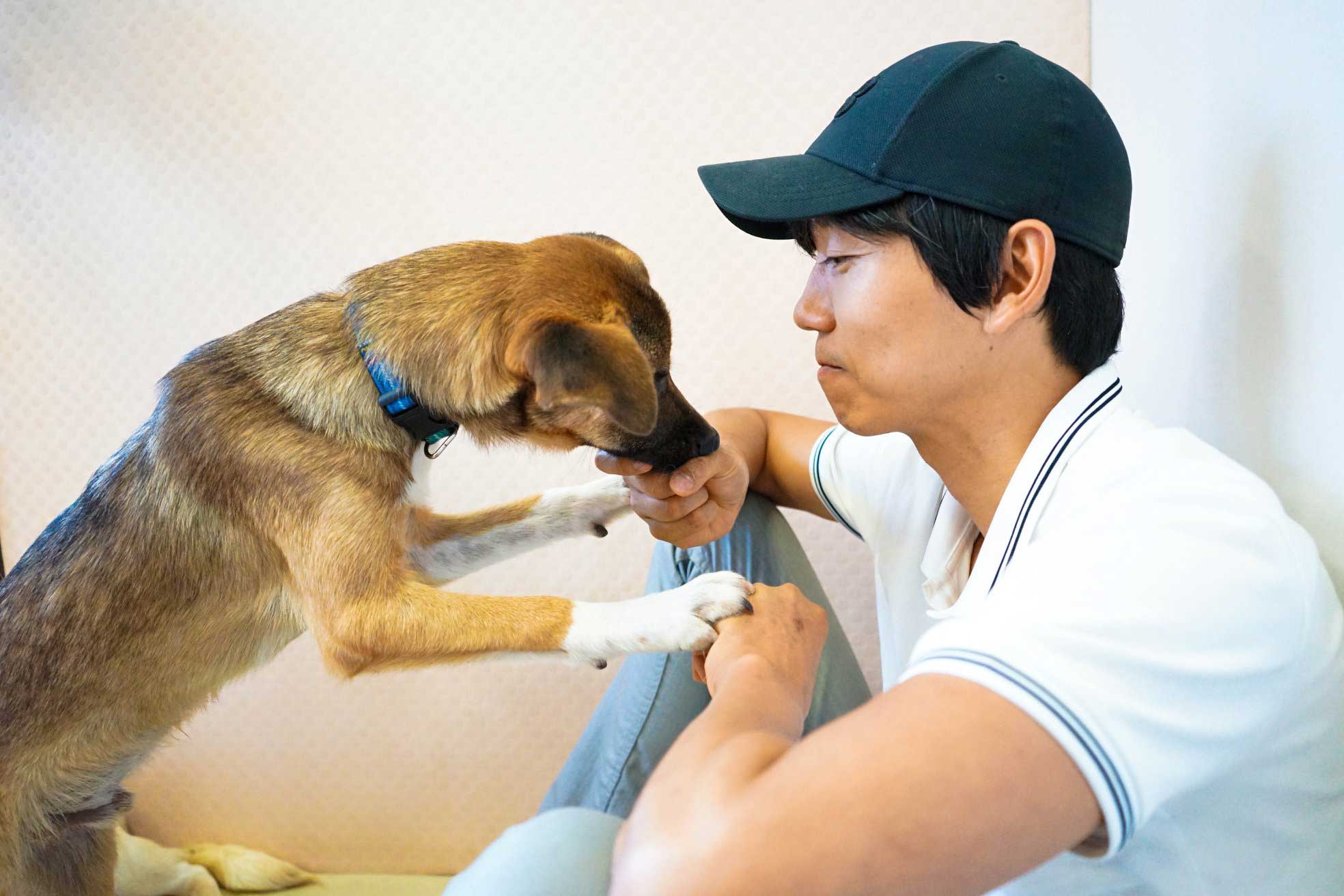 人間の都合で処分される命を助けたい すべての犬 の命を守るため 奮闘するスタッフの思いとは Gooddoマガジン 社会課題やsdgsに特化した情報メディア