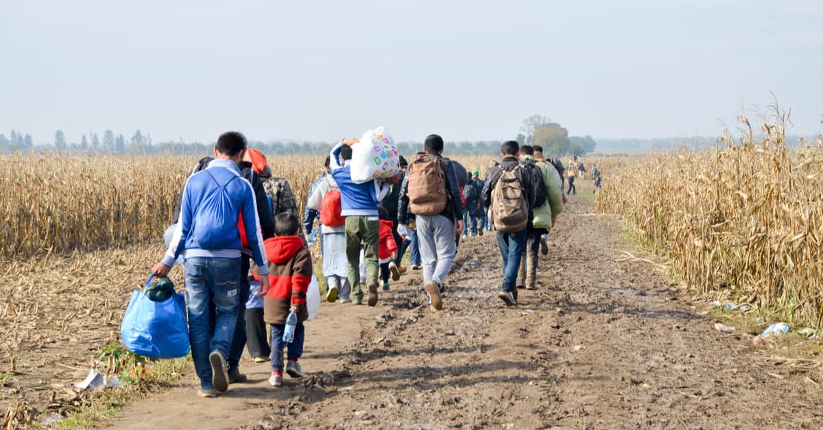 シリア難民が行う難民認定申請とは？難民申請が認められるとどうなる？