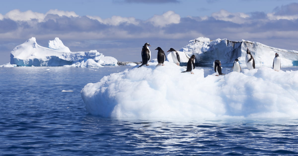 北極圏にも深刻な影響をもたらしている地球温暖化