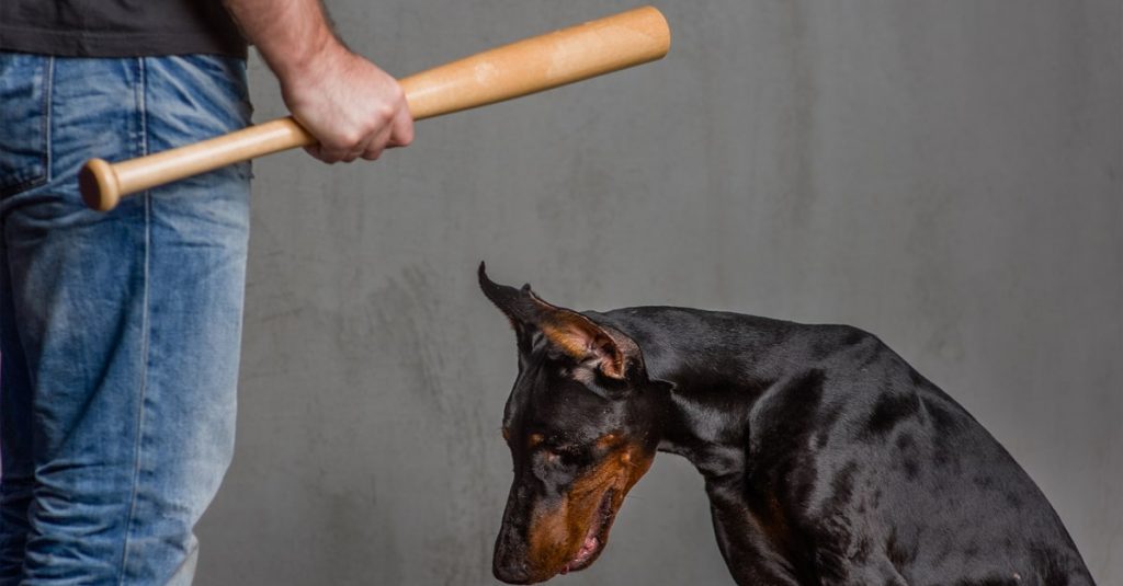 人気 ペット 犬 食べる 犯罪