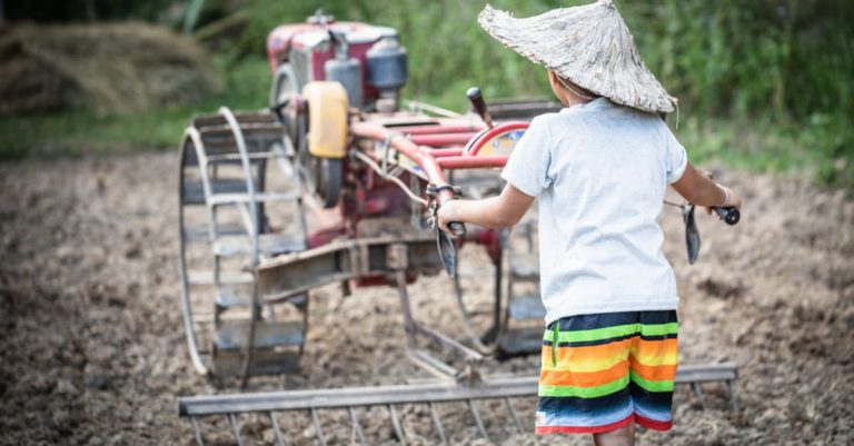 児童労働とは？世界の現状を知り、対策や支援に協力しよう