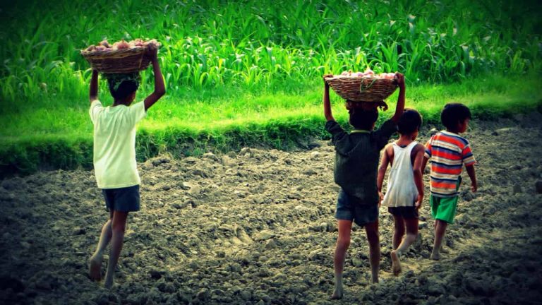 児童労働が起こる原因は？貧困問題と深い関係がある