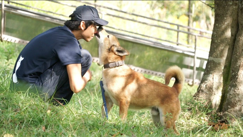 ピースワンコの犬とスタッフ