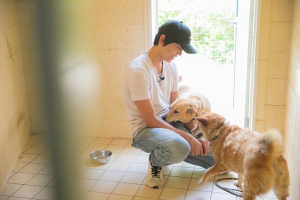 犬たちと阿部さん