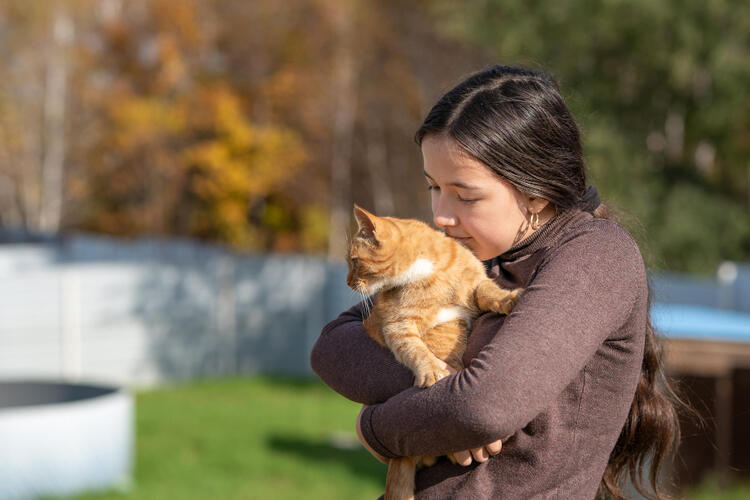 保護猫　寄付