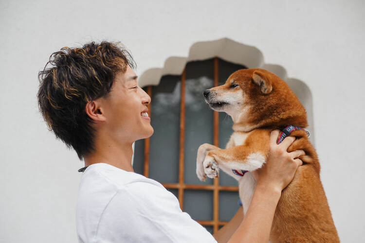 保護犬ボランティア