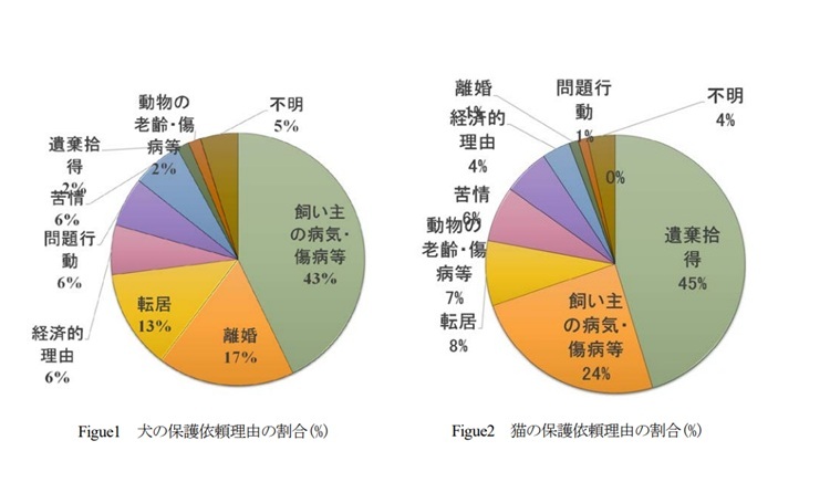 飼育　放棄