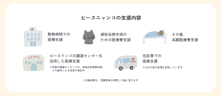 ピースニャンコの活動内容