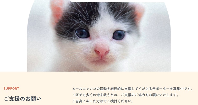 ピースニャンコ