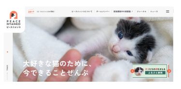 ピースニャンコは怪しい？口コミ評判や活動実態を調べてみました