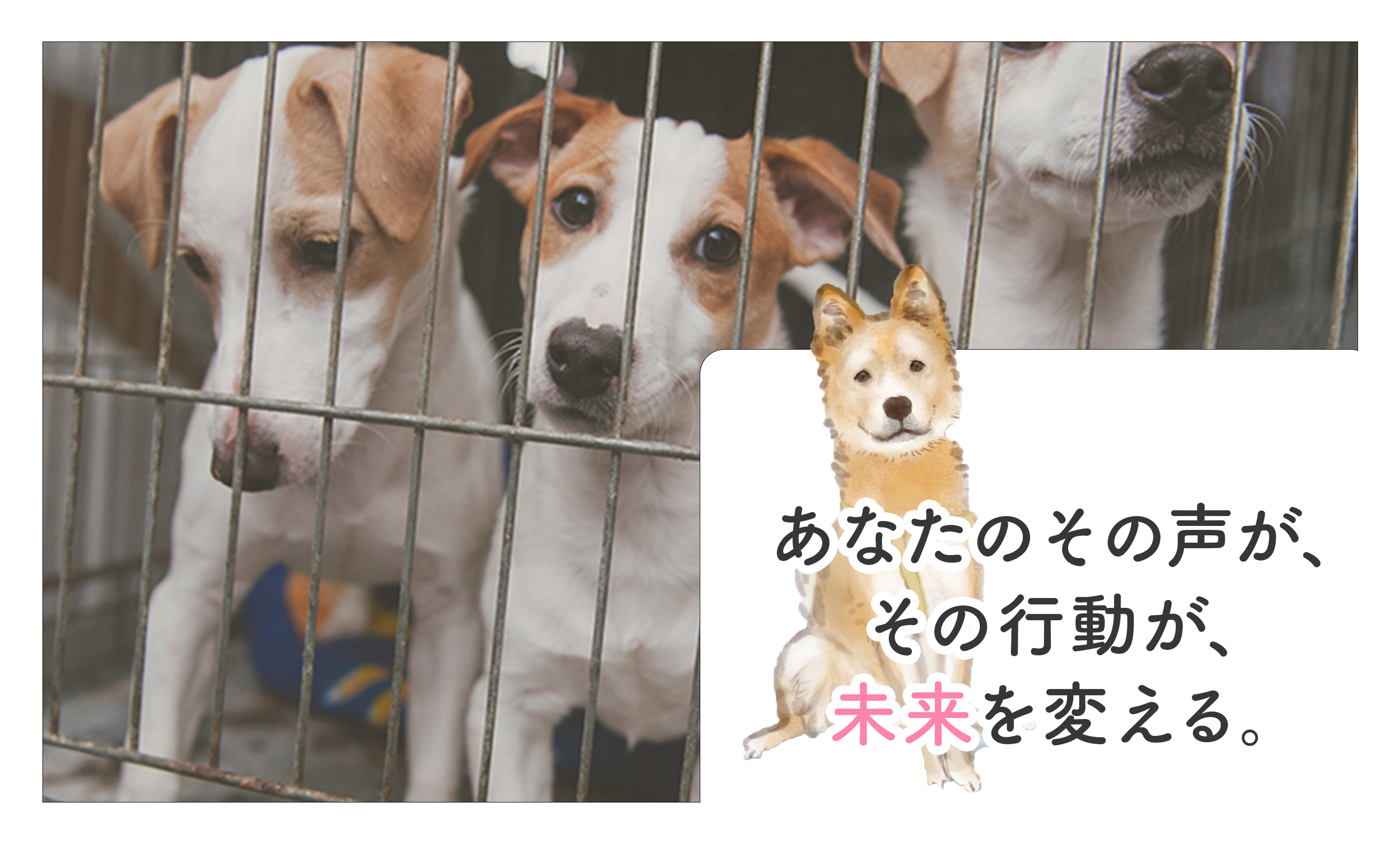 年間1,900頭以上が殺処分されている現実。殺処分ゼロを目標に活動する「ピースワンコ・ジャパン」とは?│gooddoマガジン|寄付・社会課題 ...